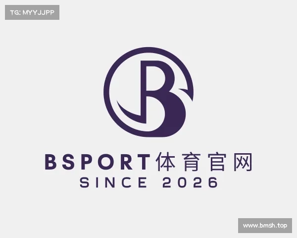 了解BSport体育官网